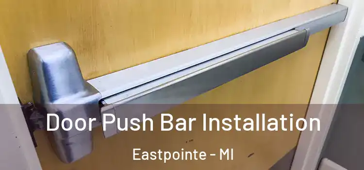  Door Push Bar Installation Eastpointe - MI