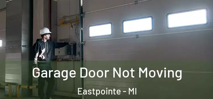  Garage Door Not Moving Eastpointe - MI