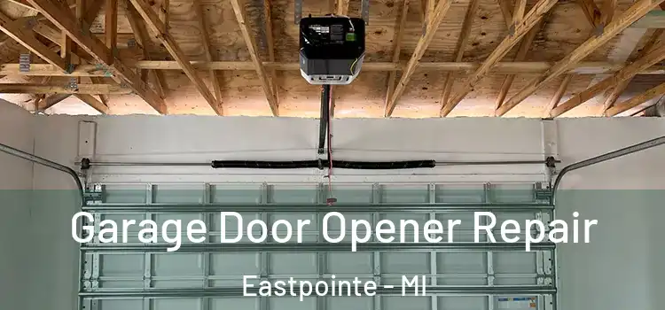  Garage Door Opener Repair Eastpointe - MI