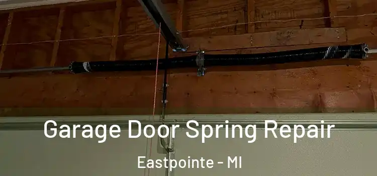  Garage Door Spring Repair Eastpointe - MI