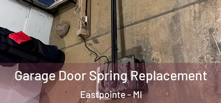  Garage Door Spring Replacement Eastpointe - MI