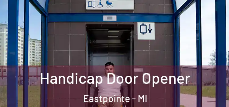 Handicap Door Opener Eastpointe - MI