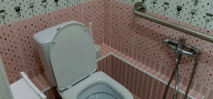 Meeting Diverse Needs With Accessible Restroom Solutions in Eastpointe, MI