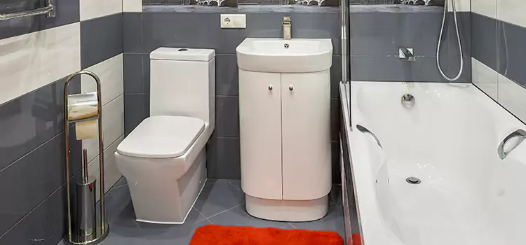 Hansgrohe Shaving Mirror Eastpointe