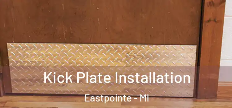  Kick Plate Installation Eastpointe - MI