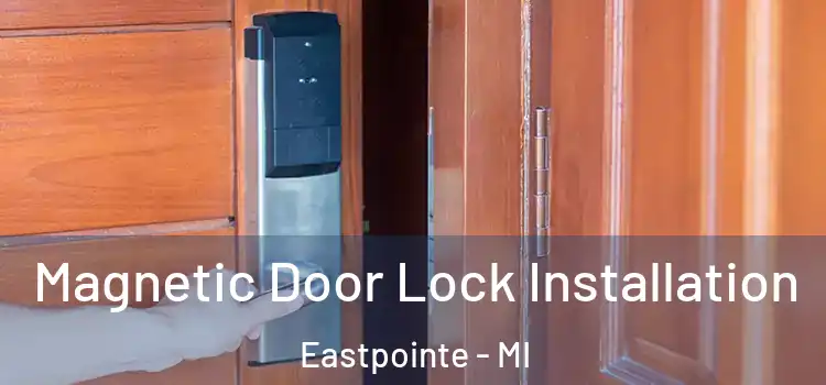  Magnetic Door Lock Installation Eastpointe - MI