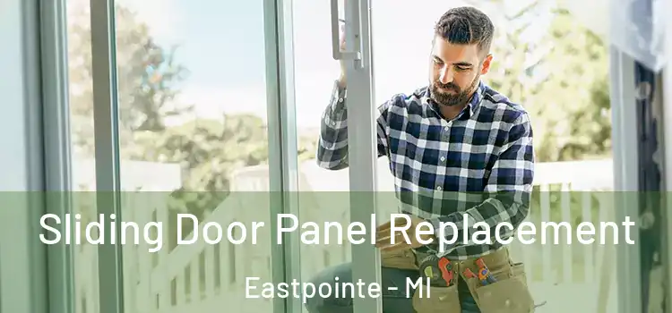  Sliding Door Panel Replacement Eastpointe - MI