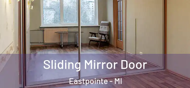  Sliding Mirror Door Eastpointe - MI
